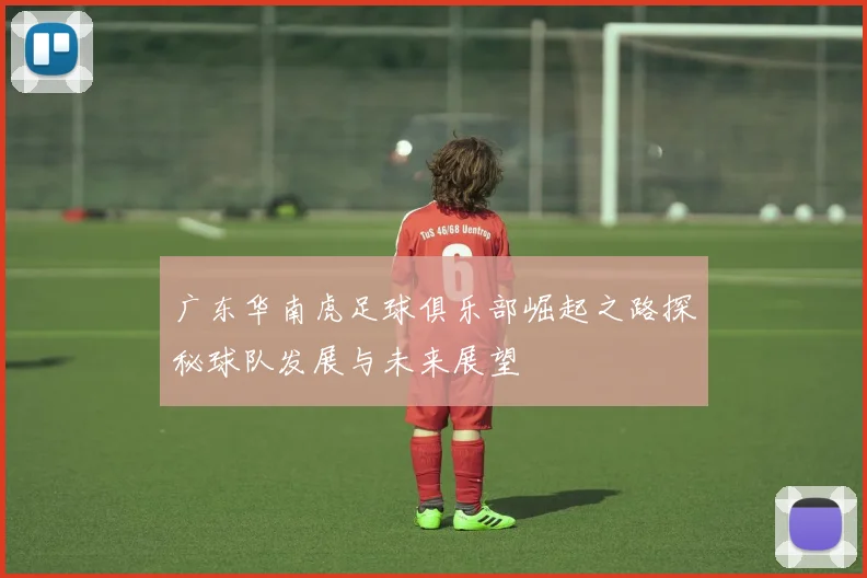 广东华南虎足球俱乐部崛起之路探秘球队发展与未来展望