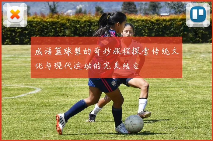 成语篮球梨的奇妙旅程探索传统文化与现代运动的完美结合