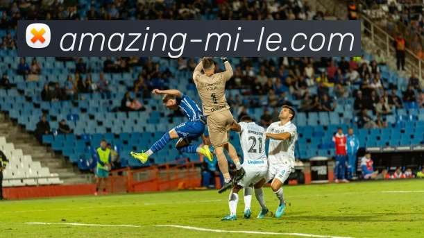 多媒体互动体验