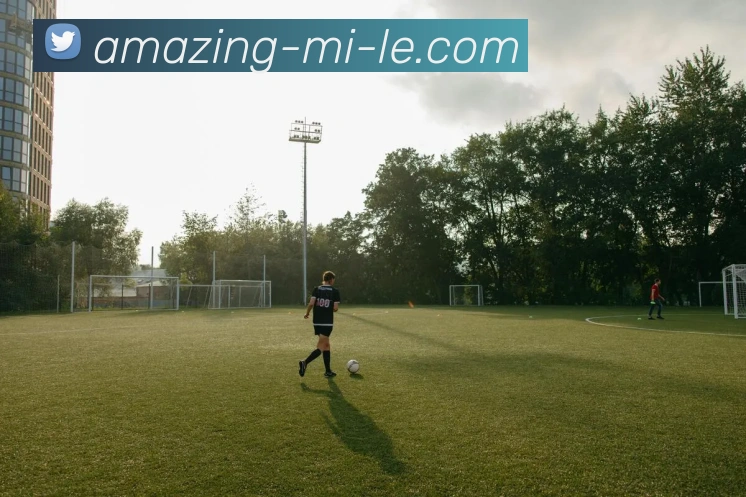 米乐APP 体育赛事宣传图